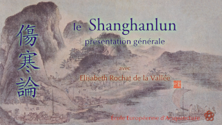 présentation générale du Shanghanlun